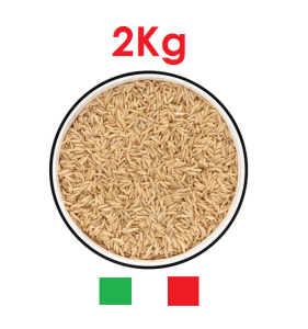 Brown Rice – 218 Variety | Whole Grain | Sariling Giling (Locally Milled) – Fresh and Healthy