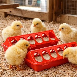 1/3pcs 12Hole Double Sided Pigeon Feeder Poultry Feeding Trough for Quail Chicken Ducklings Farm