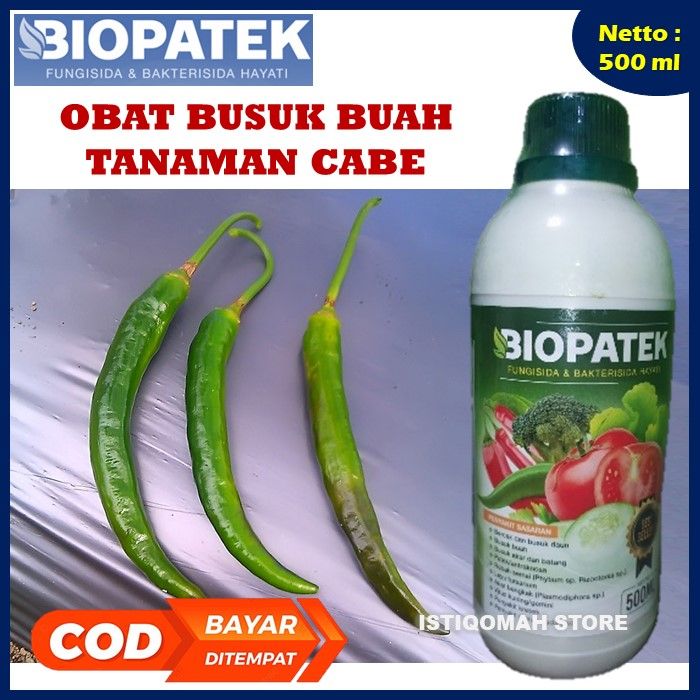 Biopatek 500ml Fungisida Hayati Cara Mengatasi Buah Busuk Pada Cabe Obat Atasi Busuk Buah 9557