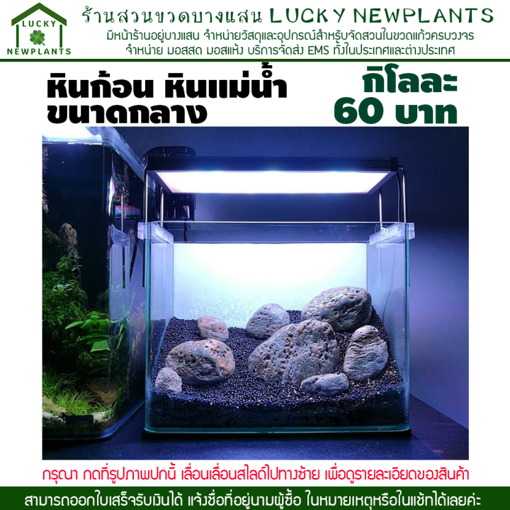 หินแม่น้ำคละสีธรรมชาติ 1 กก. สำหรับตู้ปลา