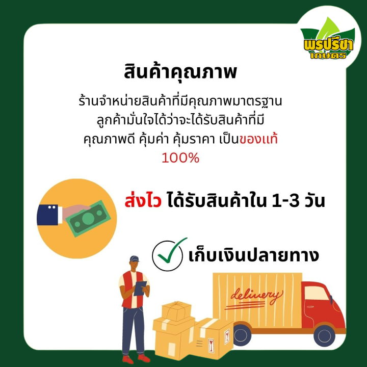 แตงกวาบากิ 100 ก. | Lazada.co.th