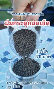 กระดูกอัดเม็ด รากเดินดี ปรับสภาพดิน