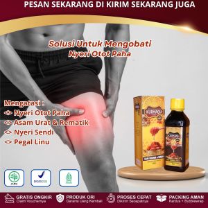 Kurmaqu GMJ - Obat Nyeri Otot Paha Pereda Nyeri Otot Paha Dan Betis Otot Paha Ketarik Cedera Hamstrin