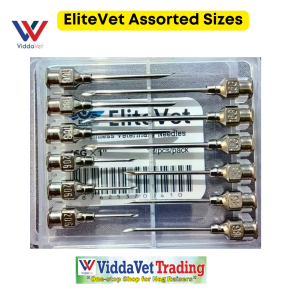 1 dozen EliteVet Stainless Veterinary Needles for pigs stainless needle tip stainless needle 12 pcs injection needle