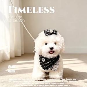 Pet supplies: fashionable leash decorative dog collar small chic glitter collar pet leash