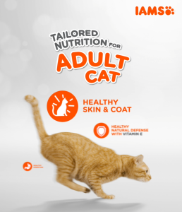 IAMS Dry Cat Food For Adult Cat - Tuna & Salmon / Chicken / Indoor & Hairball Care 1kg