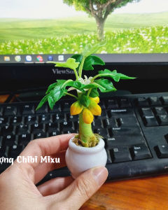 Chậu cây chuối cây đu đủ mini 12-14cm bằng đất sét Nhật tự khô cây Cầu Dừa Đủ Xoài