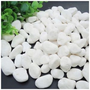 Sỏi Trắng Viên 2-3cm Trang Trí Chậu Cây Bể Cá (1kg)