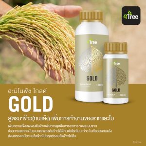 อะมิโนพืช โกลด์ (Amino Gold) ขวดใหญ่ ขนาด 1000 ml สูตรนาข้าว ทนแล้ง เหมาะสำหรับพืชใบเรียวยาว พืชเป็นกอ เช่น ข้าว อ้อย