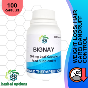 Bignay capsule (Bugnay) 500mg 50 and 100 capsules