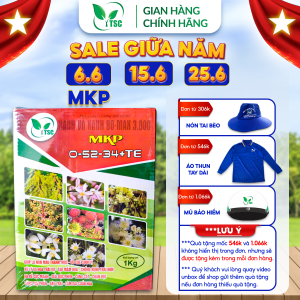 Phân bón MKP 0-52-34 Thụy Sỹ Giúp Lá Non Mau Thành Thục Chặn Đọt Cứng Cây Tạo Mầm Hoa Chống Rụng Trái Non - Hộp 1kg