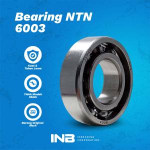 Laker Bearing 6003 NTN Bearing Noken As Tiger Revo Noken As Megapro Noken As GL INB Original NTN