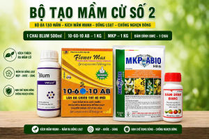 Bộ tạo mầm số 2-[Blum+10-60-10+MKP]-pha 200 lít nước-chuyên xử lý nghịch vụ miền tây mùa thuận Miền Đông Tây Nguyên