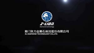 Z-LION D1mm Diamond Wire Saw Length 2m Electroplated Coping Saw Granite Marble Jewelry Wood Cutting Wire Multifunction Fret Saw