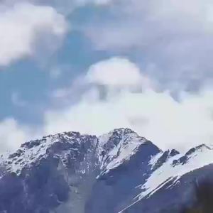 Cordyceps Sinensis 100% Dong Chong Xia Cao Wild Whole Himalayan SinensisCordyceps 100%Cordyceps Organic from Tibet (3g) 1.0 Count