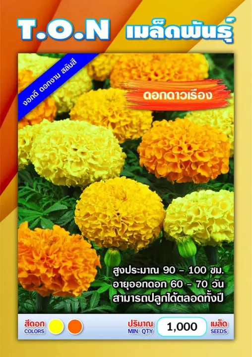 เมล็ดดอกดาวเรือง 5000 เมล็ด ดอกใหญ่แน่น สีส้มเหลือง