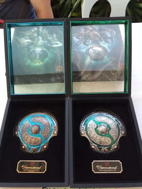 Dota 2 Authentic Aegis from The Internationals Aegis For Reaching