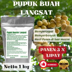 Pupuk Booster Langsat Pelebat Organik Cepat Berbuah Lebat Besar Anti Rontok Pembesar Langsat