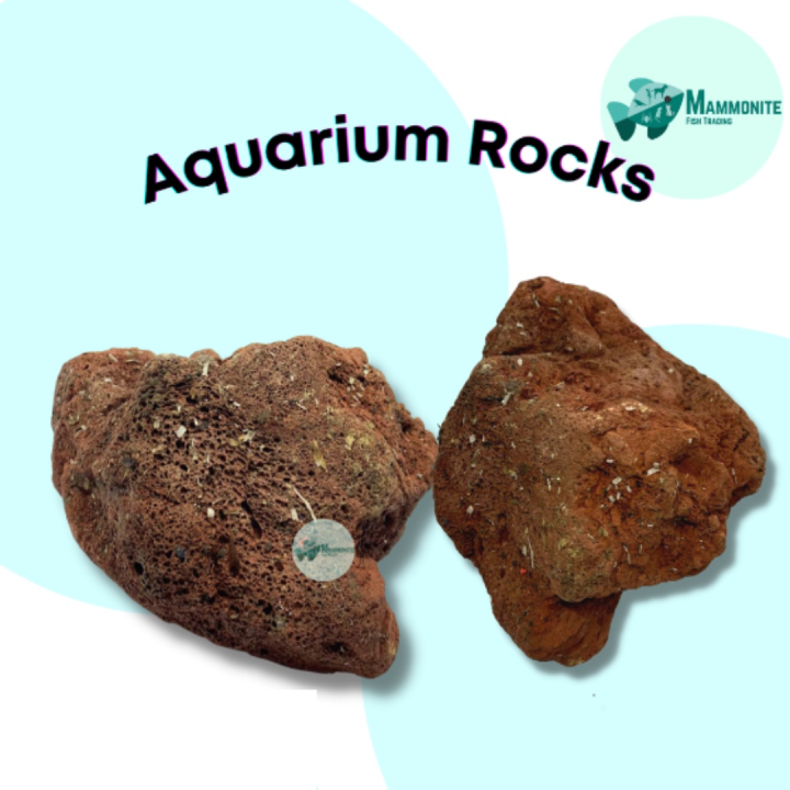 Aquarium Red Volcanic Rock Stone Pebble for Aquascaping PER KILO