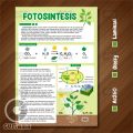 Poster Fotosintesis, Poster Edukasi Anak Laminasi A3. 