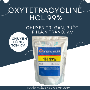 Oxytetracycline  Gan Cho Tôm Đặc Tri Bênh Gan Cấp Tính Trên Tôm Thẻ Cá k/h/ang Sinh Thuỷ Sản Đường Ruột Tetracyline Doxycyline - OXYTETRACYCLINE HCL 99% - KHÁNG SINH - Nuôi Tôm Cá Ếch Lươn Baba - THUỐC THUỶ SẢN MỸ PHƯƠNG