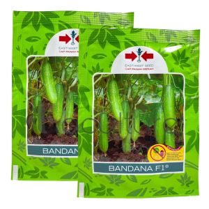 Benih Timun Mentimun BANDANA F1 Isi 800 Butir Cap Panah Merah