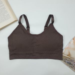 Bh Seamless Wanita Kekinian Sport Bra Miniset Busa Import 1182