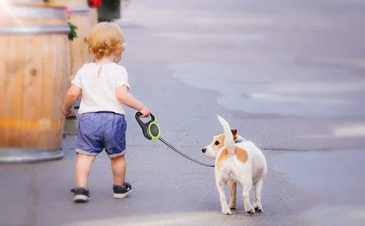 Hateli%203M/5M%20C%C3%B3%20Th%E1%BB%83%20Thu%20V%C3%A0o%20D%C3%A2y%20d%E1%BA%AFt%20ch%C3%B3%20Cho%20Nh%E1%BB%8F%20ch%C3%B3%20trung%20b%C3%ACnh%20M%C3%A8o%20C%C3%B3%20Th%E1%BB%83%20Thu%20V%C3%A0o%20m%E1%BA%A1nh%20m%E1%BA%BD%20b%E1%BB%81n%20Nylon%20d%C3%A2y%20bu%E1%BB%99c%20ch%C3%B3%20con%20Ch%C3%AC%20Yorkshire%20shih%20tzu%20ch%C3%B3%20Golden%20Retriever%20Labrador%20Ph%E1%BB%A5%20ki%E1%BB%87n%20cho%20th%C3%BA%20c%C6%B0ng%20-%20Image%207