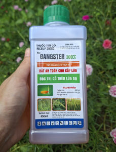 [VTNN TIEN KHOA] RICEUP 300EC GANGSTER 300EC Chai 450ml – Thuốc Trừ Cỏ Đặc Trị Cỏ Trên Lúa Sạ