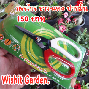 กรรไกรตัดกิ่ง ตัดแต่งบอนไซ แต่งต้นไม้ มีสองขนาดให้เลือก ปากสั้น และปากยาว