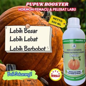 Pupuk Buah Pelebat Labu Pupuk Booster Pelebat Buah Labu Organik Pupuk Labu Berbuah Lebat Pupuk