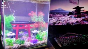 TORII GATE and Two STONE LANTERN for Aquarium and Terrarium Decor and Hides