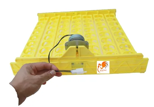 รางฟักไข่ 56 ฟอง อัตโนมัติ พร้อมมอเตอร์ 220V