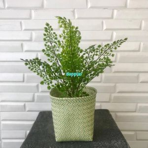 Tanaman Plastik Daun Tapak Ikan Pari X1 Latex Artificial Cover Pot Purun Sintetis Hijau Muda Pajangan Dekorasi Ruangan Aesthetic