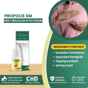 Obat Benjolan Di Payudara Obat Benjolan Payudara Membesar Obat Penghancur Benjolan Di Kepala Obat Daging Tumbuh Di Payudara Obat Payudara Bengkak Obat Payudara Sering Nyeri Obat Benjolan Kanker Payudara - Propolis SM