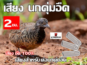 เสียง นกคุ่ม  นาน 1 ชั่วโมง USB แฟลชไดร์ฟ สำหรับ ใช้ล่อนกคุ่ม  หมานๆๆ