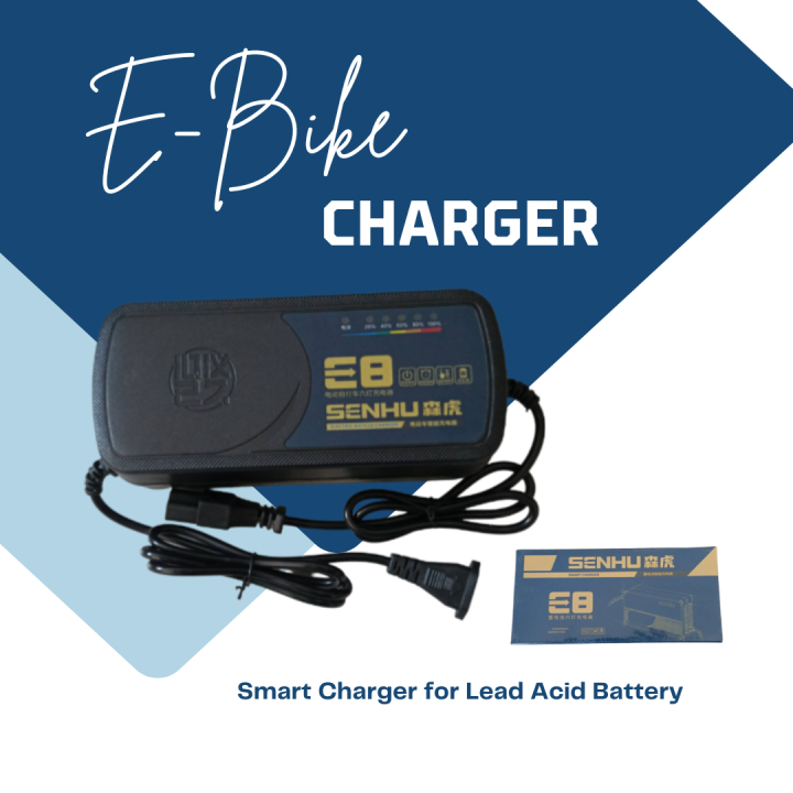 Ebike Charger 48V12Ah 48V20Ah 48V32Ah 60V20Ah 60V32Ah