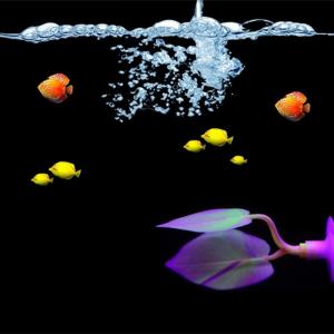 Double Layer Bettas Fish Resting Corals Aquariums Decoration Nonoxic Silicones with Easyly Clean Surfaces