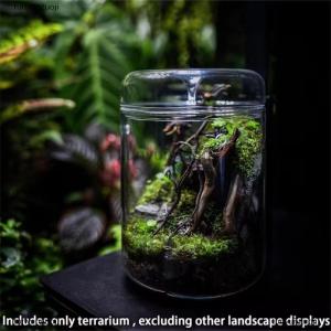 [COD] tunyunguoji Bottles Creativity Dew Collection Vase Micro Landscape Succulent Moss Landscape Terrarium Home Decor