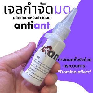 Winky Wink Antiant 30g เจลกำจัดมด แอนตี้แอนท์ เหยื่อกำจัดมด เจลล่อมด หยดเดียวตายยกรัง