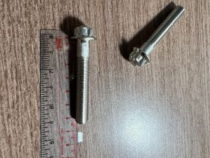 Ốc inox- Salaya đầu bông size 10ly6 (giá 1 con)