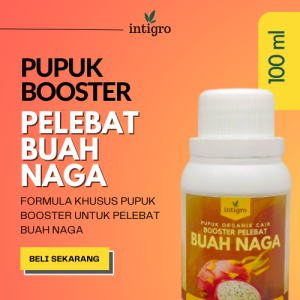 Pupuk Buah Naga Cepat Berbuah / Pupuk Organik Pelebat Buah Naga Booster Pemacu Perangsang Buah Naga