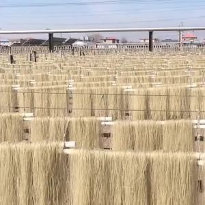 500g Kudzu Vermicelli No added Rough pasta Spicy and Sour Noodles 葛根粉条 酸辣粉 粗粮面条 无添加葛根粉丝