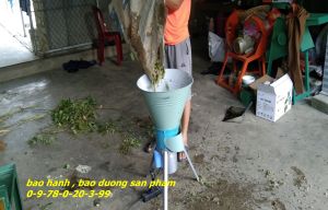 Máy băm bèo  rau lang cho heo gà vịt bồ câu