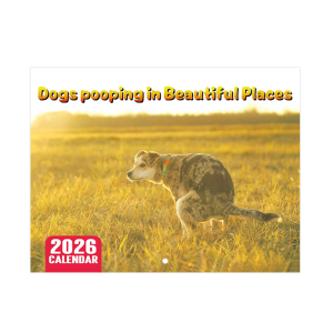 2026 Wall Calendar with Cute Picture Designs -Thick Paper Poster for Home Office Kitchen Classroom & Gift Planning (1 pcs)