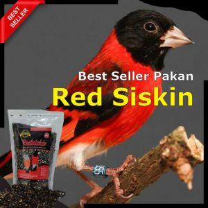 Pakan Burung Komplit untuk Burung Red Siskin dan Goldfinch Kemasan 900Gram