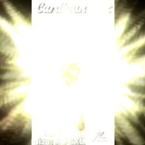 🌸 Naira Knit Long Cardigan 🌸 AT1094