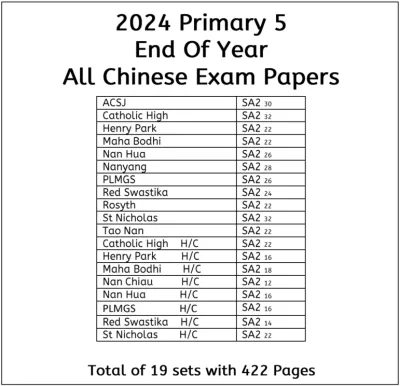 2024 Primary 5 End Of Year Papers | P5 | Singapore Top School Examination Papers