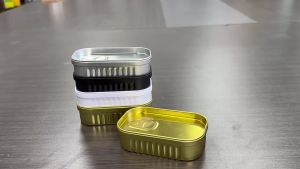 FFBH 1PCS Sardine Can Shaped Storage Tin Portable Tinplate Material Sealed Jar With Lid For Storing Small Items Household Goods 3M8Q4