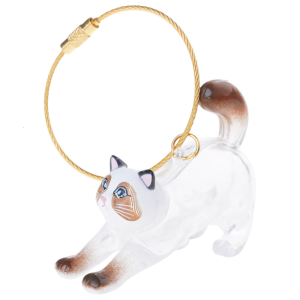 Creative Cats Hair Keepsakes Display Box For Pet Lover Gift Plastic Clear Decorative Container To Preserve Furs Memory